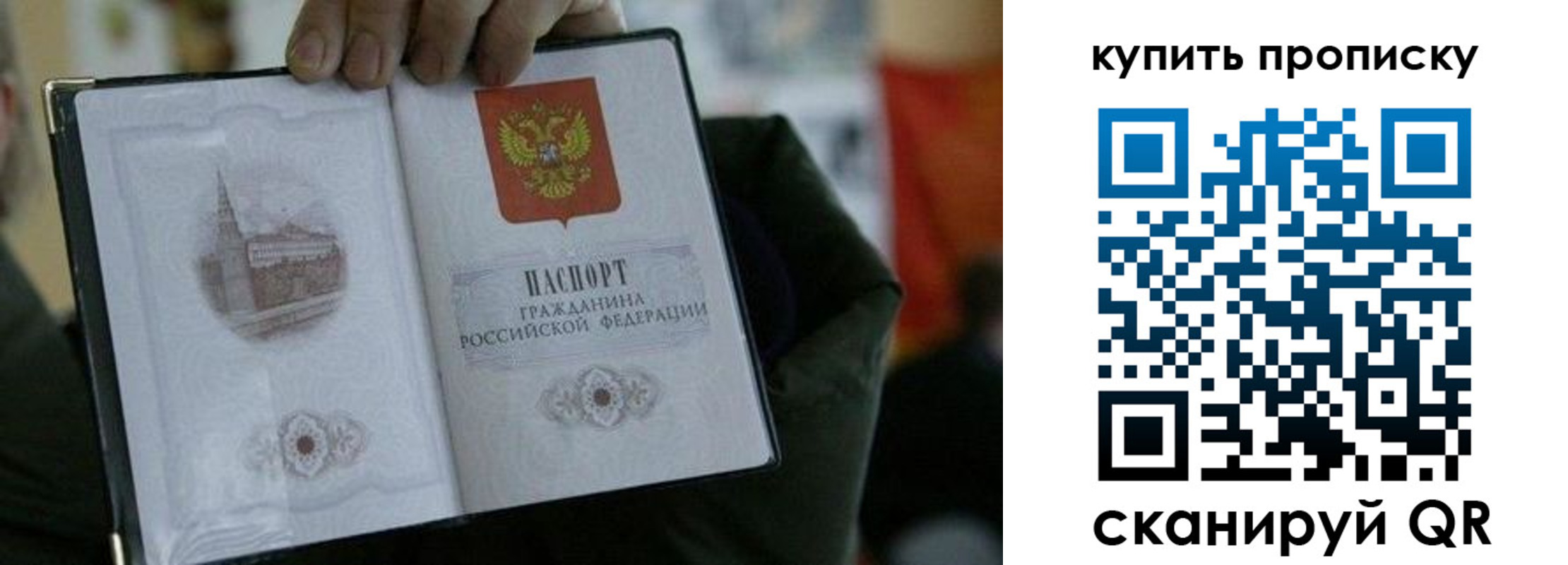 временная регистрация поиск в Светогорске